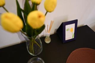 Tulip Central Apartments - Sibiu - 9