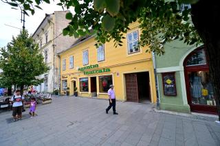 Tulip Central Apartments - Sibiu - 0