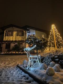 VILLA SELVA - Piemonte - Agrate Conturbia - 1