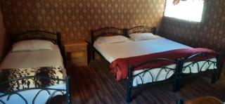 Rum Awaad luxury camp - Wadi Rum - 3
