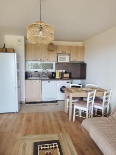 Appartement T2 sur Mauguio avec grande terrasse - Mauguio - 7