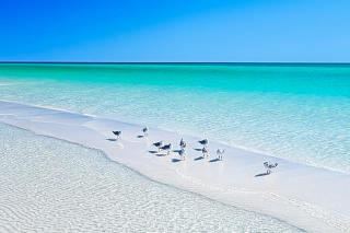 Sunny Side Up - Destin - 6