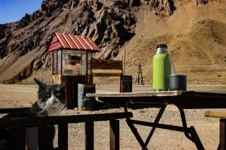 Altas Cumbres Penitentes - 1