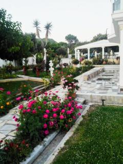 Villa Isabel - Riza - 9