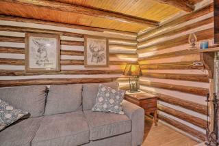 Pet-Friendly Speedwell Cabin, 1 Mi to Water! - 7
