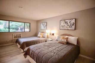 Bigfork Bungalow - Bigfork - 5