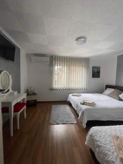 Pro arte - Kladovo - 3