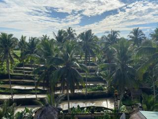 Junjungan Suite - Ubud - 1