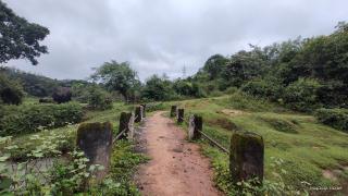 Mugilu - Sakleshpur - 7