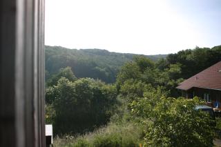 RechHof Urlaub bei Tieren - 1
