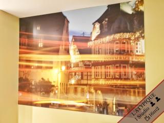Splendide Appartement Barr - Route du Vins - Barr - 6