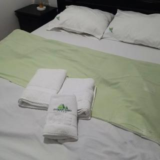 Zlatiborski Konaci-Apartman Maletic - Zlatibor - 7