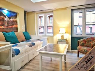 Splendide Appartement Barr - Route du Vins - Barr - 4