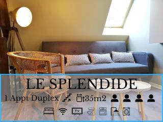 Splendide Appartement Barr - Route du Vins - Barr - 7