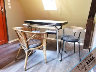 Splendide Appartement Barr - Route du Vins - Barr - 1