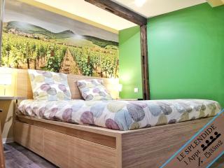 Splendide Appartement Barr - Route du Vins - Barr - 4