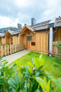 CHALET am Schneeberg See - Puchberg am Schneeberg - 1