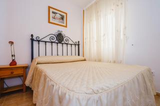 Alegria ID 116 - Torrevieja - 1
