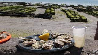 Côté Jardin - Cancale - Gîte Standing - Proche Centre et Port - 4