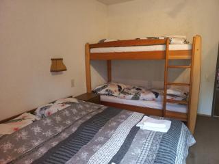 Apartman Mitterdorf Almberg 7 - Mitterfirmiansreut - 6