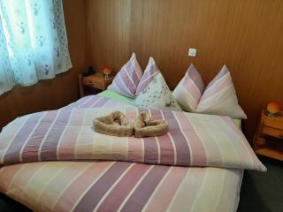 Chalet apartment by Interlaken. Parking - Ringgenberg - 8
