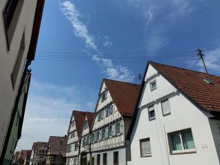 Historik Hotel Ochsen - Tamm - 9