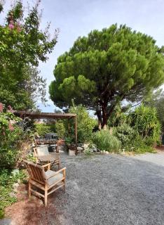 Casa Francesca - Saint-Florent - 7