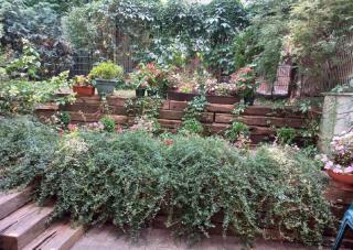 Apartament Sadul - Warsaw - 2