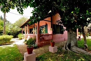 Charmante Maison 2ch et Bungalow 2ch au Coeur de l'Oasis - 3