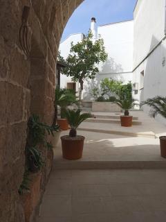 MASSERIA BALSAMO - Collemeto - 5