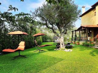 Vintage Home - Nikiti - 0