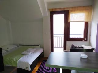Zlatiborski konaci - Konak 3 Apartman 20 - Zlatibor - 9