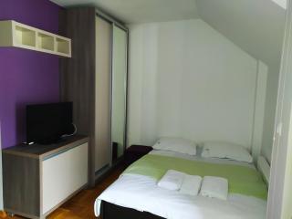Zlatiborski konaci - Konak 3 Apartman 20 - Zlatibor - 5