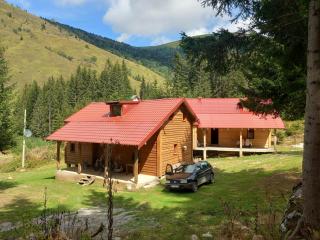 GAGO’S WOODEN HOUSE - Plav - 0