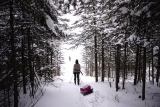 Auberge Aventure Rose des Vents - 3