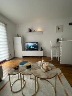 Apartman 5 Vrnjačka Banja - Vrnjačka Banja - 9