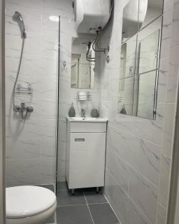 Apartman 5 Vrnjačka Banja - Vrnjačka Banja - 6