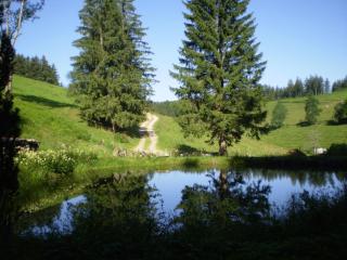 Grundhäusle - Gütenbach - 4