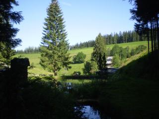 Grundhäusle - Gütenbach - 3