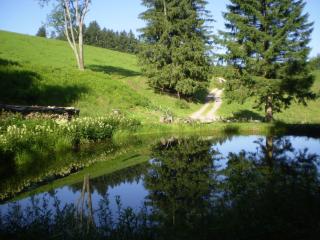 Grundhäusle - Gütenbach - 2