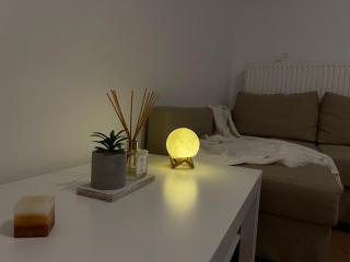Energy Luxury Apartment Near Presidential Palace - Bucharest - 1