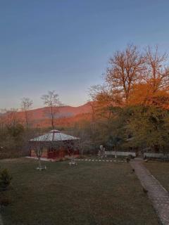 Matua guest house - Jvari - 9