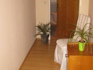 Haus Mühlgrund - Bad Wildbad - 3