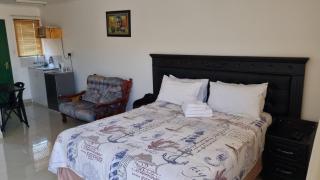 Viks Bed and Breakfast - Greytown - 1