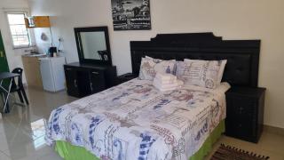 Viks Bed and Breakfast - Greytown - 3