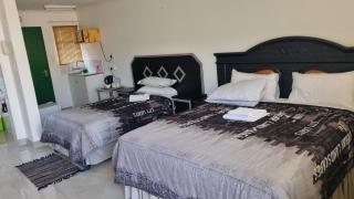 Viks Bed and Breakfast - Greytown - 5