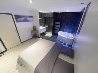 Appartement 90m2 design, jacuzzi, billard... - Vitré - 2