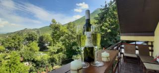 Villa Ramonda - Dolna Matka - 9