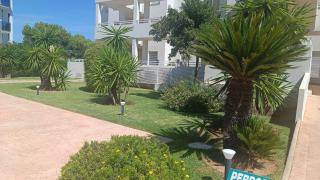 MET&GOLF OLIVA NOVA BEACH JARDIN - Oliva - 3