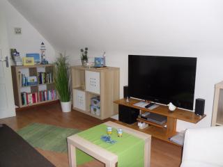 Ferienwohnung Lachmöwe - Heringsdorf - 0
